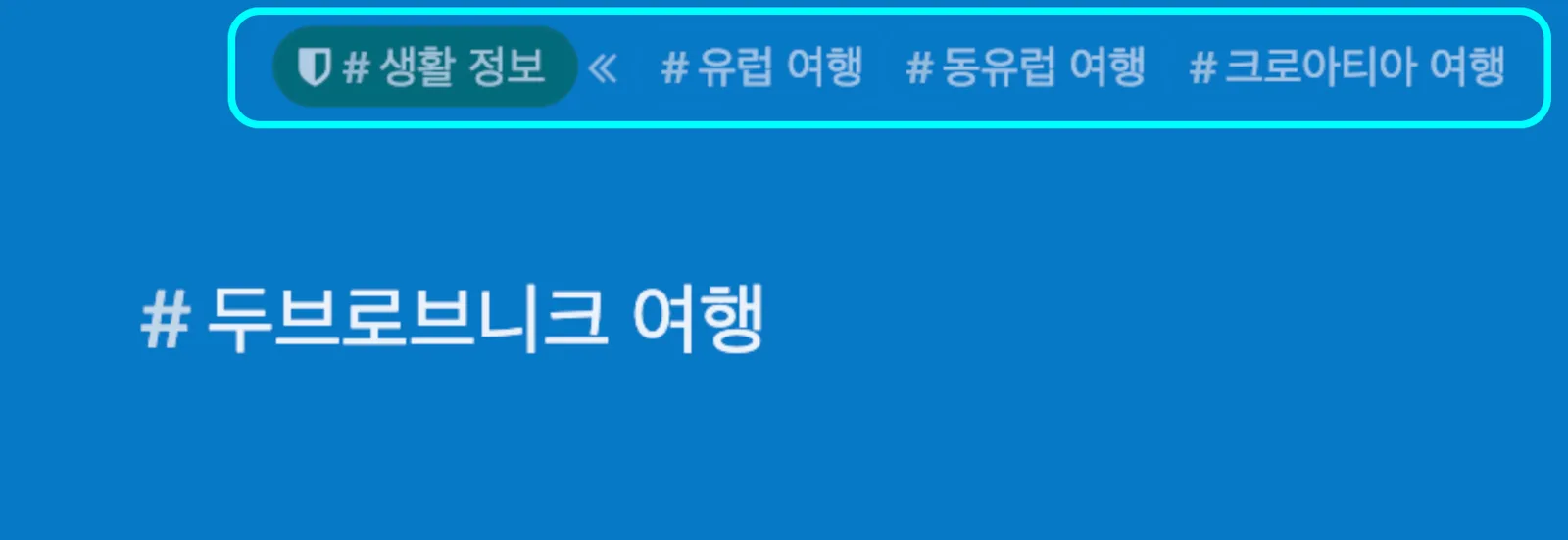 두브로브니크 팟이 상위 팟으로 이어지는 해시태그 트리 도표 — 두브로브니크 팟으로 이동